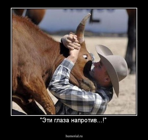"Эти глаза напротив...!" 