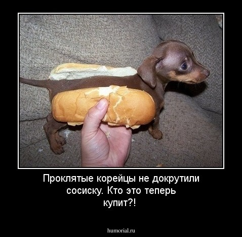 Проклятые корейцы не докрутили сосиску. Кто это теперь купит?! 