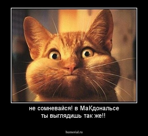 не сомневайся! в МаКдональсе ты выглядишь так же!!