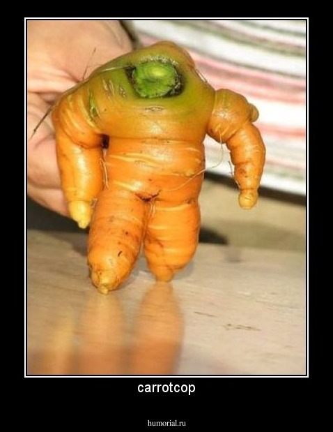 carrotcop