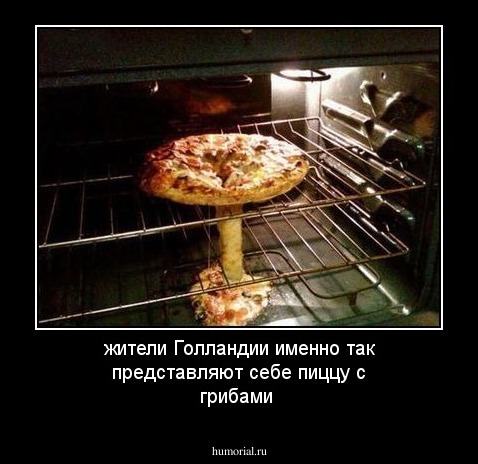 жители Голландии именно так представляют себе пиццу с грибами