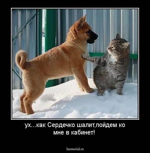 ух...как Сердечко шалит,пойдем ко мне в кабинет!