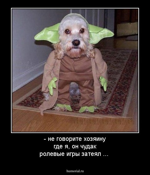 - не говорите хозяину где я, он чудак ролевые игры затеял ...