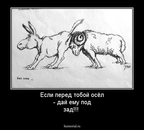 Если перед тобой осёл - дай ему под зад!!!
