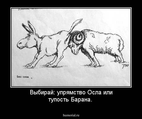 Выбирай: упрямство Осла или тупость Барана.