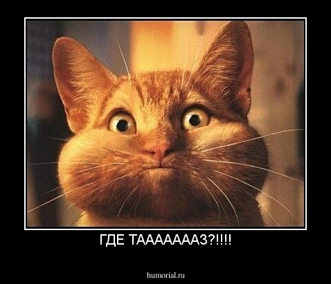 ГДЕ ТАААААААЗ?!!!!