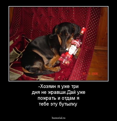 -Хозяин я уже три дня не жравши.Дай уже пожрать и отдам я тебе эту бутылку