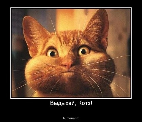 Выдыхай, Котэ!
