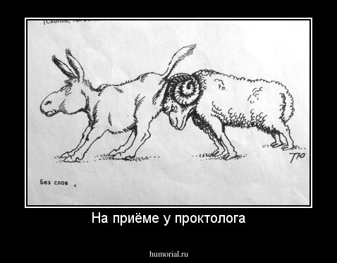 На приёме у проктолога