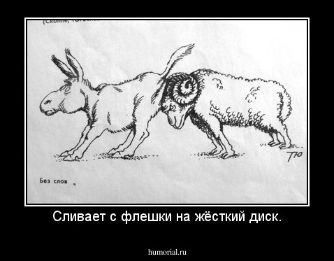 Сливает с флешки на жёсткий диск.