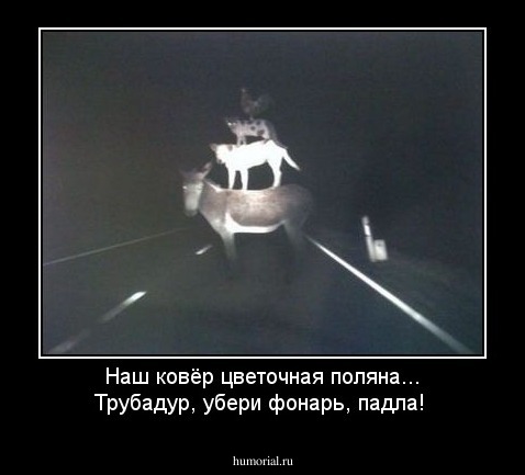 Наш ковёр цветочная поляна... Трубадур, убери фонарь, падла!
