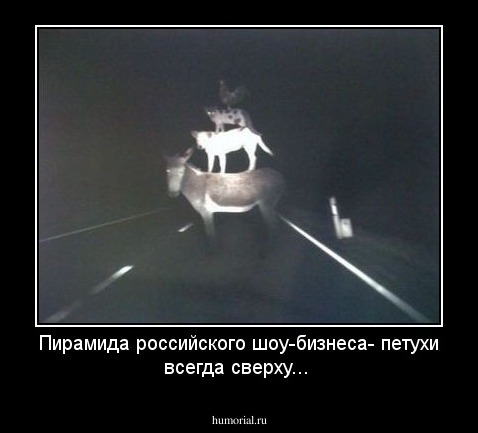 Пирамида российского шоу-бизнеса- петухи всегда сверху...