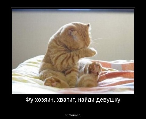 Фу хозяин, хватит, найди девушку