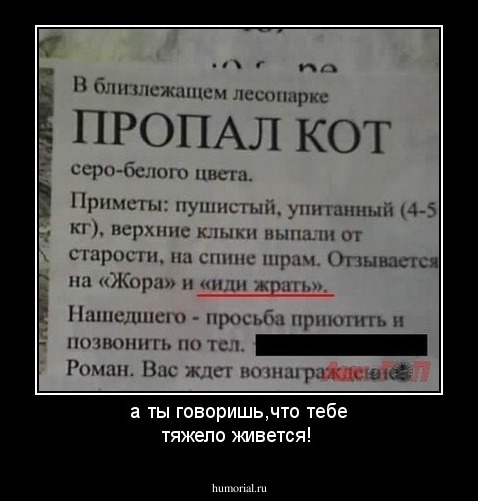 а ты говоришь,что тебе тяжело живется!