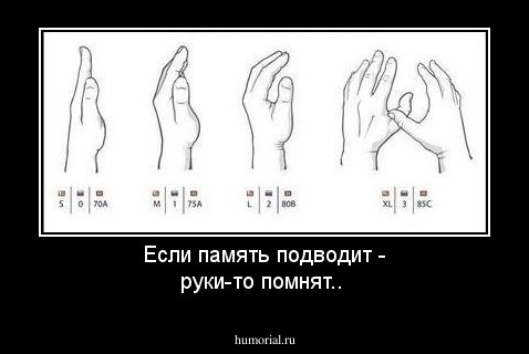 Если память подводит - руки-то помнят..