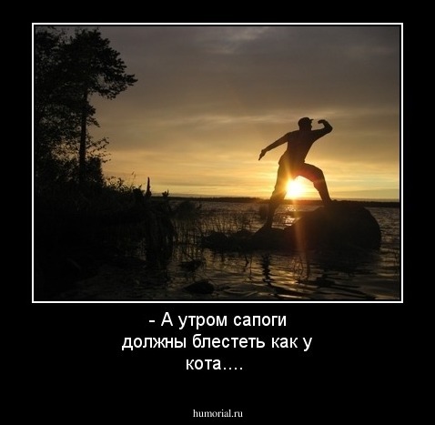 - А утром сапоги должны блестеть как у кота....