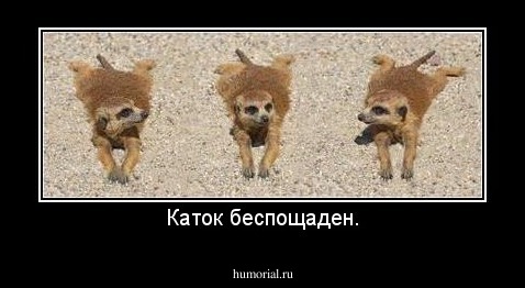 Каток беспощаден.