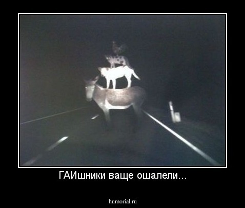 ГАИшники ваще ошалели...