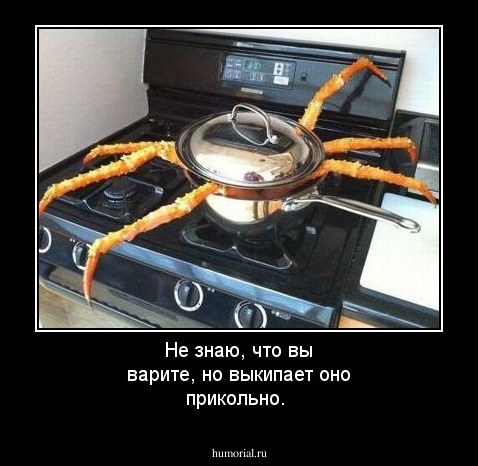 Не знаю, что вы варите, но выкипает оно прикольно.