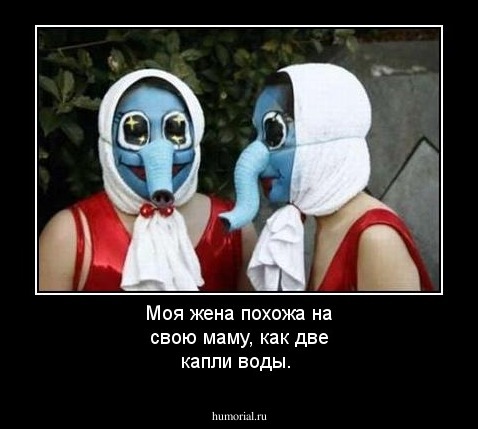 Моя жена похожа на свою маму, как две капли воды.