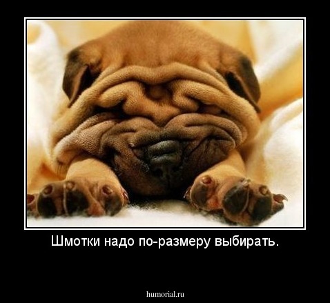 Шмотки надо по-размеру выбирать.
