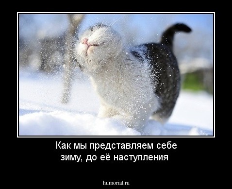 Как мы представляем себе зиму, до её наступления