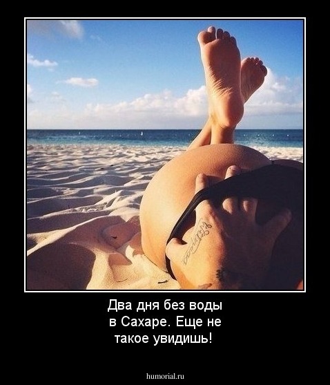 Два дня без воды в Сахаре. Еще не такое увидишь!