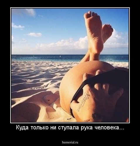 Куда только ни ступала рука человека...