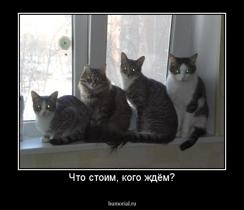 Что стоим, кого ждём?