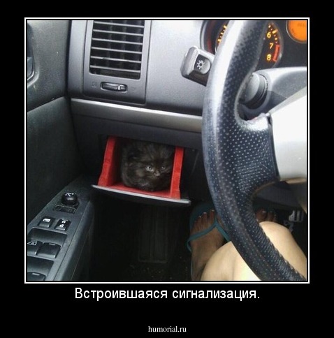 Встроившаяся сигнализация.