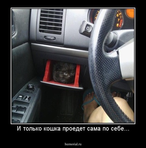 И только кошка проедет сама по себе...