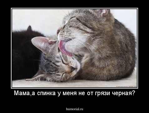 Мама,а спинка у меня не от грязи черная?