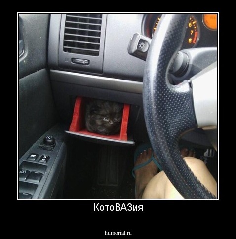 КотоВАЗия