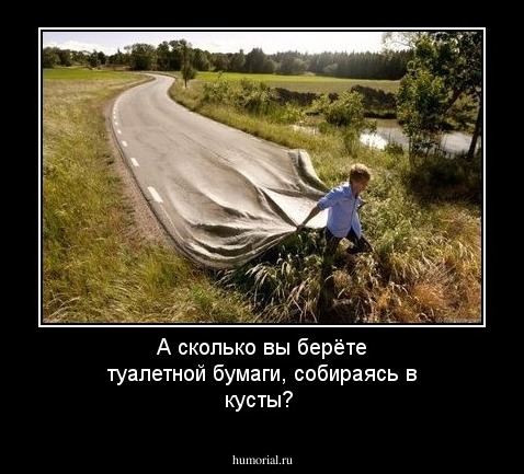 А сколько вы берёте туалетной бумаги, собираясь в кусты?
