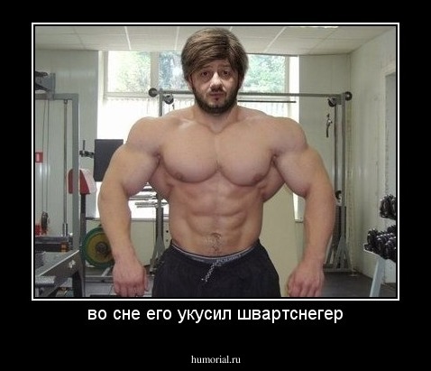 во сне его укусил швартснегер