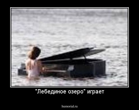 "Лебединое озеро" играет