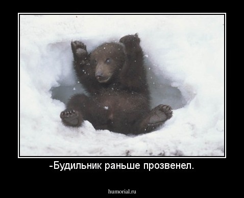 -Будильник раньше прозвенел.