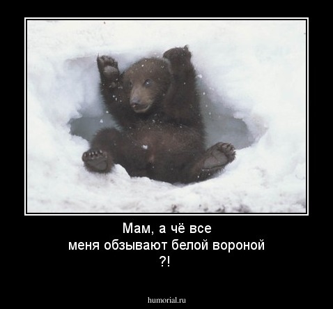 Мам, а чё все меня обзывают белой вороной ?!