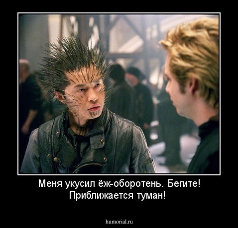 Меня укусил ёж-оборотень. Бегите! Приближается туман!