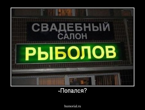 -Попался?
