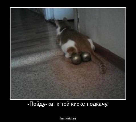 -Пойду-ка, к той киске подкачу.