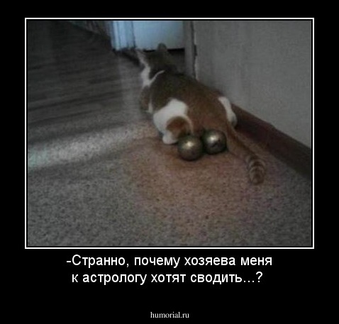 -Странно, почему хозяева меня к астрологу хотят сводить...?