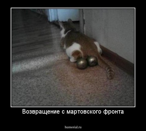 Возвращение с мартовского фронта