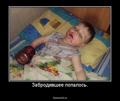 Забродившее попалось.