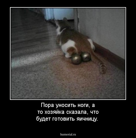 Пора уносить ноги, а то хозяйка сказала, что будет готовить яичницу.