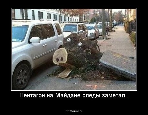 Пентагон на Майдане следы заметал..