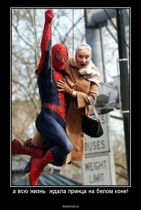 а всю жизнь  ждала принца на белом коне!