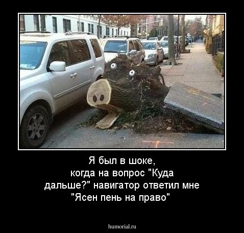 Я был в шоке, когда на вопрос "Куда дальше?" навигатор ответил мне "Ясен пень на право"