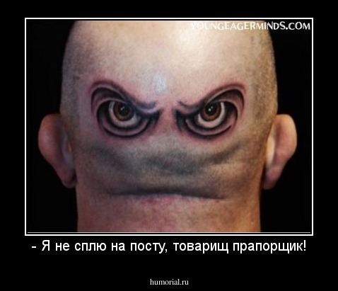 - Я не сплю на посту, товарищ прапорщик!