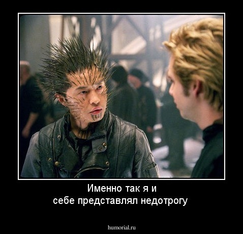 Именно так я и себе представлял недотрогу